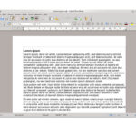 Word Processing Service 3