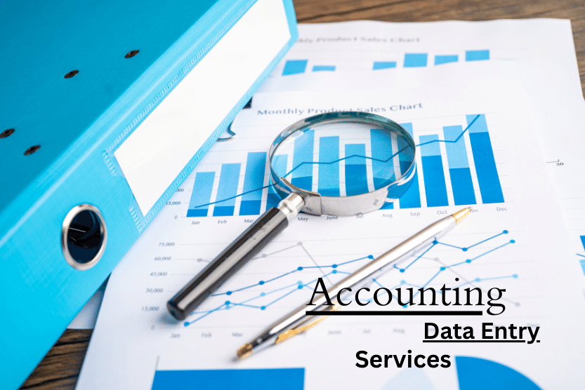 Accounting Data Entry Service