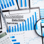 Accounting Data Entry