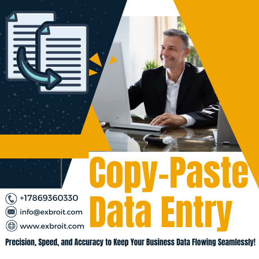 Copy Past Data Entry Service