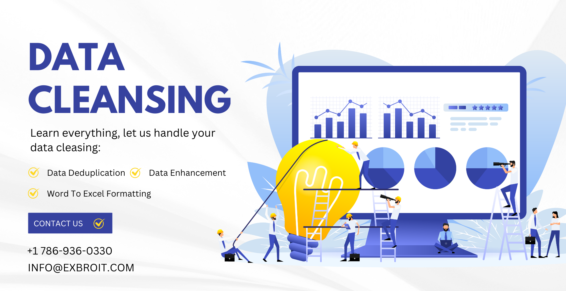 Data Cleaning Services