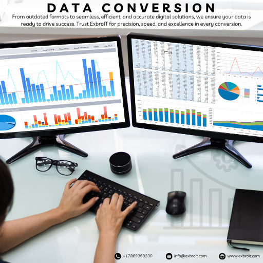 Data Conversion Services