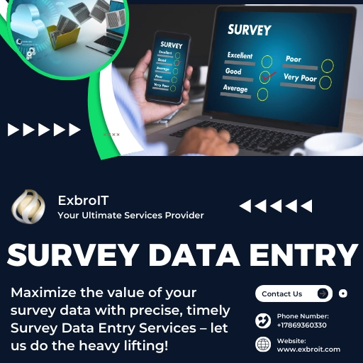 Survey Data Entry Service