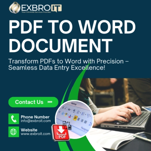 PDF To Word Data Entry Service