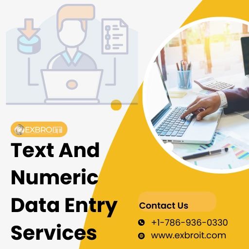 Text And Numeric Data Entry Service