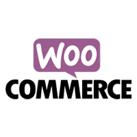 WooCommerce Store Design Services